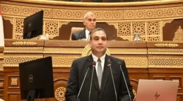 إعفاء جمركي للمغتربين.. برلماني يطالب بتيسيرات جديدة عند إدخال الهواتف المحمولة إلى مصر